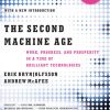 The Second Machine Age: Work, Progress, and Prosperity in a Time of Brilliant Technologies