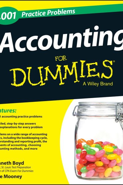 1,001 Accounting Practice Problems For Dummies