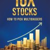 10X Stocks: How to Pick Multibaggers