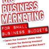 Big Business Marketing For Small Business Budgets