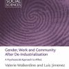 Gender, Work and Community After De-Industrialisation: A Psychosocial Approach to Affect