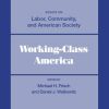 Working-Class America: Essays on Labor, Community, and American Society