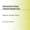 Organizational Transformation: Approaches, Strategies, and Theories