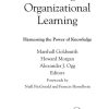 Leading Organizational Learning: Harnessing the Power of Knowledge