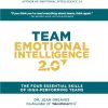 Team Emotional Intelligence 2.0: The Four Essential Skills of High Performing Teams