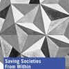 Saving Societies From Within: Innovation and Equity Through Inter-Organizational Networks