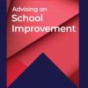 Advising on School Improvement