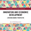 Innovation and Economic Development: A Microeconomic Perspective