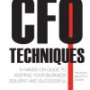 CFO Techniques: A Hands-on Guide to Keeping Your Business Solvent and Successful