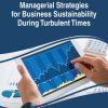 Managerial Strategies for Business Sustainability During Turbulent Times