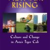 Vietnam Rising: Culture and Change in Asia's Tiger Cub