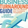 The Small Business Turnaround Guide: Take Your Business from Troubled to Triumphant