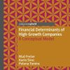 Financial Determinants of High-Growth Companies: A Conceptual Model