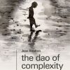 The Dao of Complexity: Making Sense and Making Waves in Turbulent Times