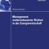 Management wetterinduzierter Risiken in der Energiewirtschaft