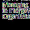 Managing Diversity in Intergovernmental Organisations