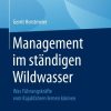 Management im ständigen Wildwasser: Was Führungskräfte vom Kajakfahren lernen können