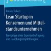 Lean Startup in Konzernen und Mittelstandsunternehmen: Ergebnisse einer Expertenbefragung und Handlungsempfehlungen