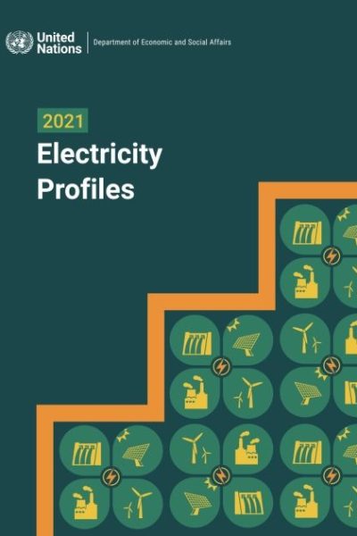 2021 Electricity Profiles