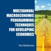 Multiannual Macroeconomic Programming Techniques For Developing Economies